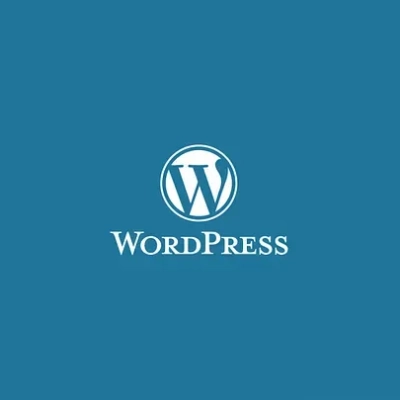 Stop Obsessing Over WordPress Plugin Updates